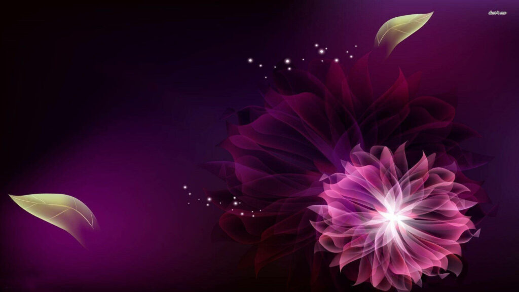 Radiant Purple Flower Digital Wallpaper Against Dark Background