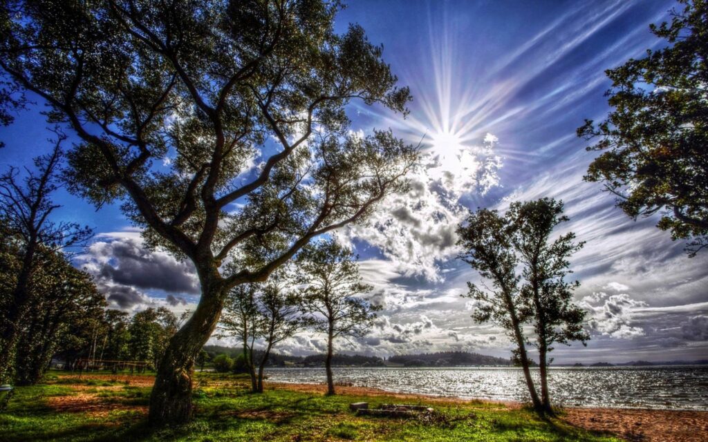 Radiant sun shining through dramatic clouds over lush coastal landscape with green grass and trees Wallpaper