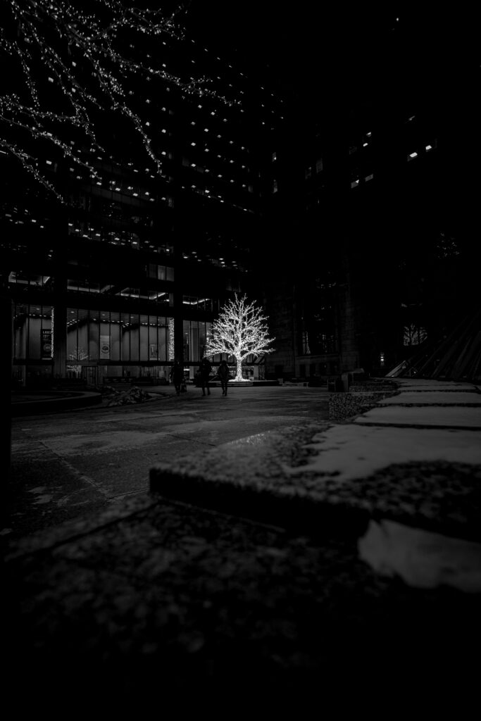 Radiant Tree Wallpaper: Brightness in a Dark Urban Landscape