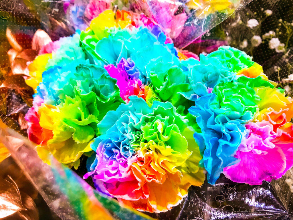 Vibrant Rainbow Carnations: A Kaleidoscope of Ruffled Petals Wallpaper