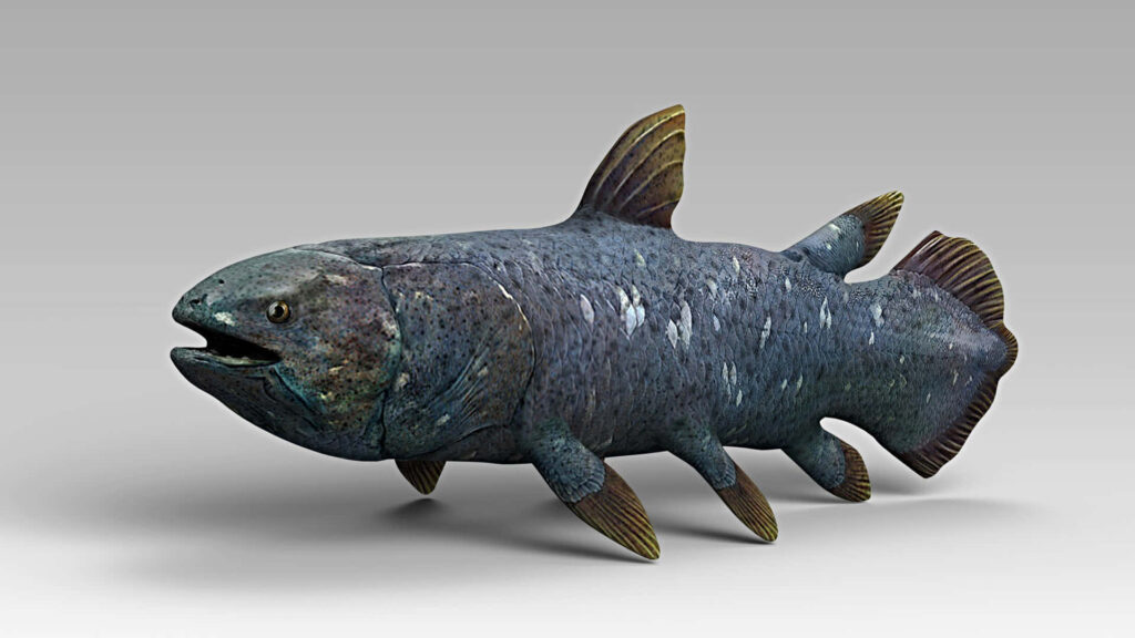 3D detailed Coelacanth wallpaper featuring realistic texture and deep bluish-gray prehistoric fish design