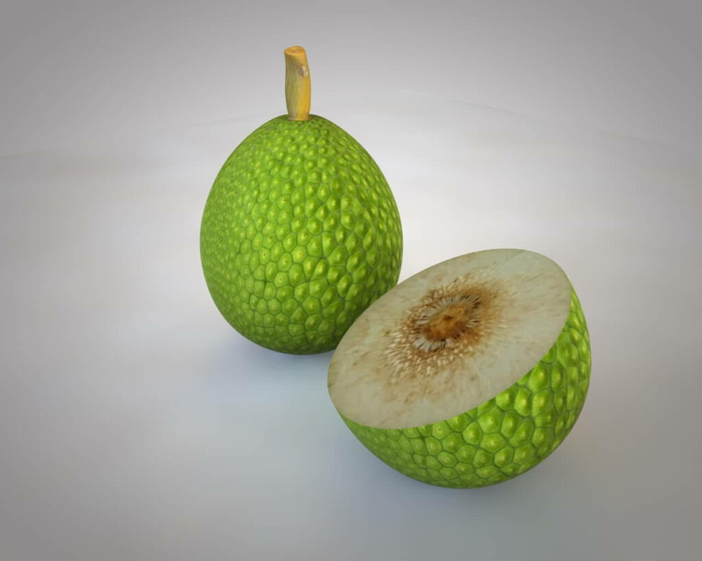 Fresh green breadfruit with half slice showing textured skin and creamy interior on neutral background Wallpaper