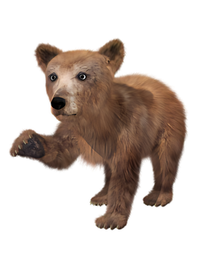 Realistic Brown Bear Cub Wallpaper on Sleek Black Background