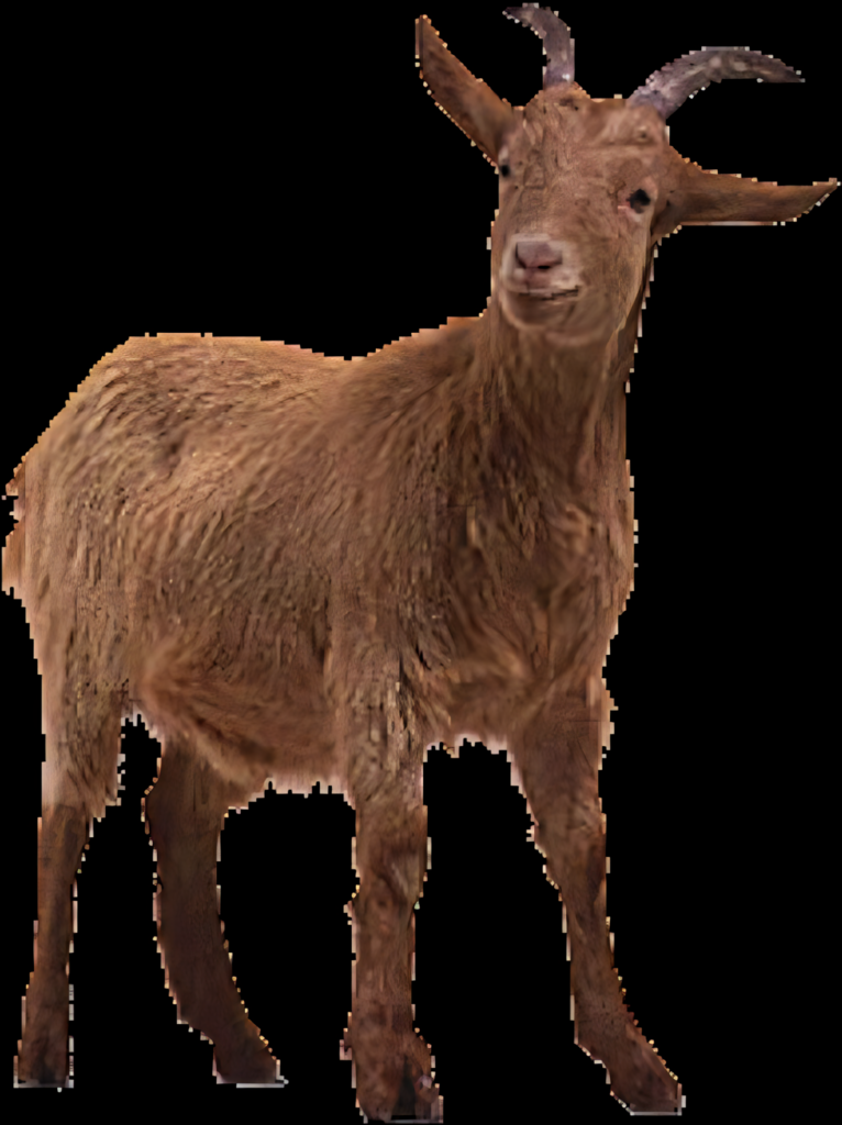 Brown Goat Wallpaper: Realistic Image with Transparent Background