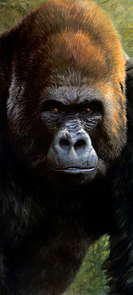 Majestic Brown-Haired Gorilla Wallpaper in Lush Jungle Setting
