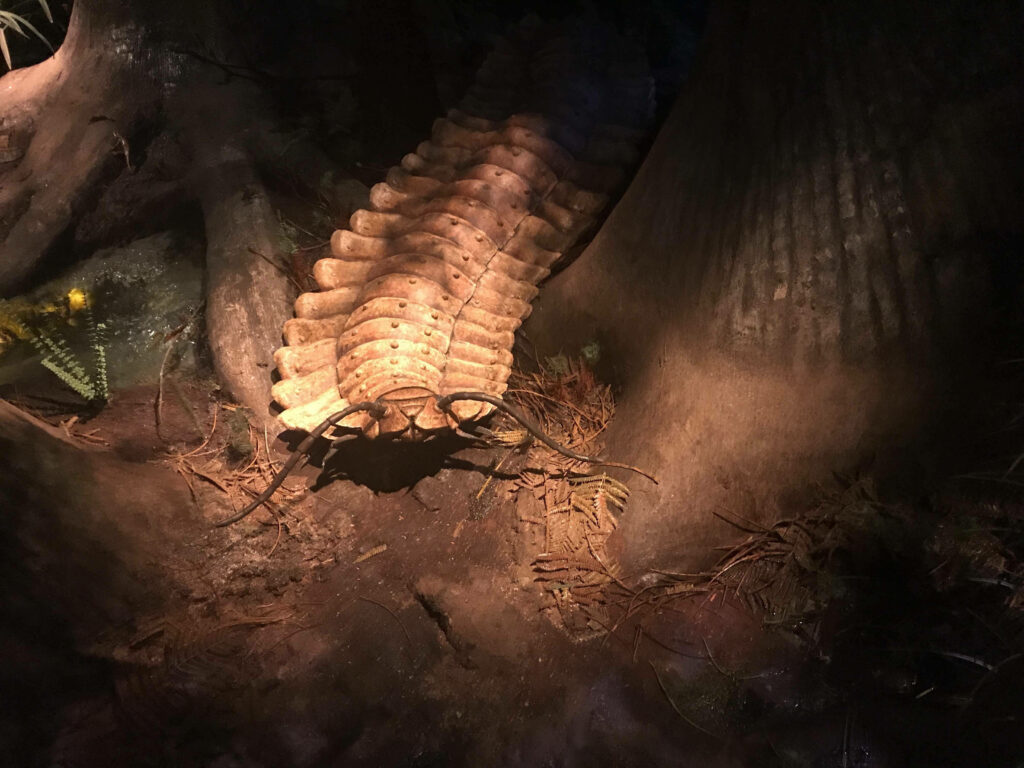 Large brown centipede camouflaged on tree roots in dim forest with natural earthy tones wallpaper