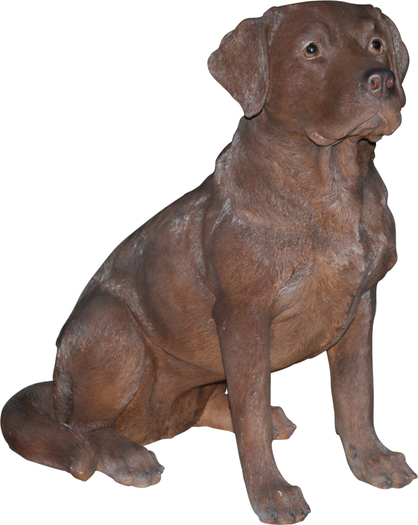 Realistic Chocolate Labrador Wallpaper Background for Pet Lovers