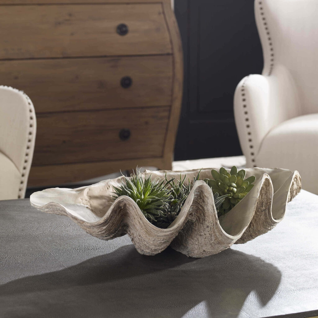 Realistic clam shell centerpiece with green succulents on textured table coastal wallpaper background