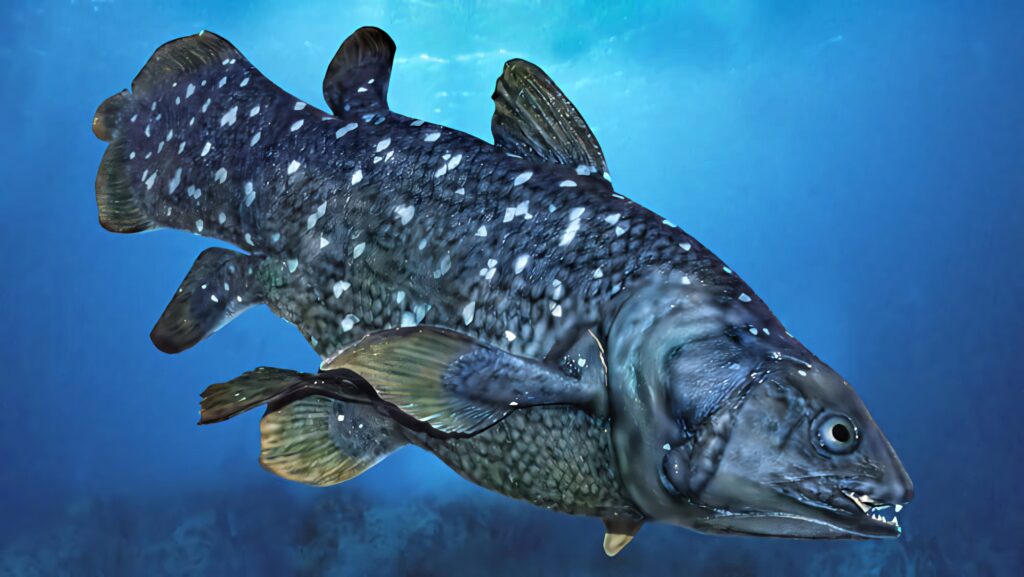 Realistic coelacanth swimming in deep blue ocean with textured scales and pale spots wallpaper