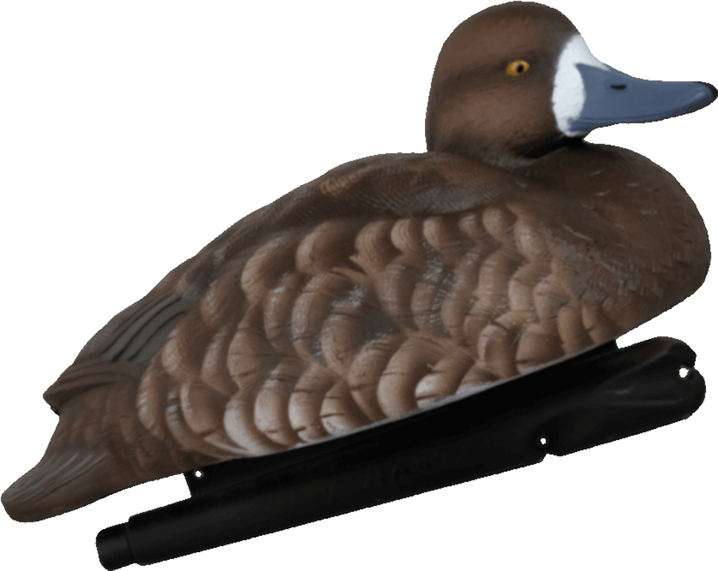Realistic Duck Decoy with Detailed Feathers for Hunting & Decor Wallpaper