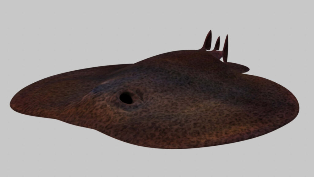 Realistic Electric Ray wallpaper with smooth flattened body muted brown tones and gradient background