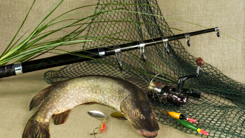 Realistic Fishing Setup Wallpaper: Fresh Pike, Rod & Lures