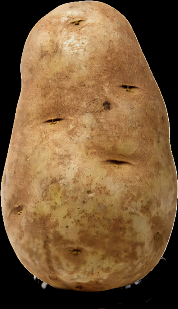 “Fresh Potato PNG Image with Rough Texture - Wallpaper Background”