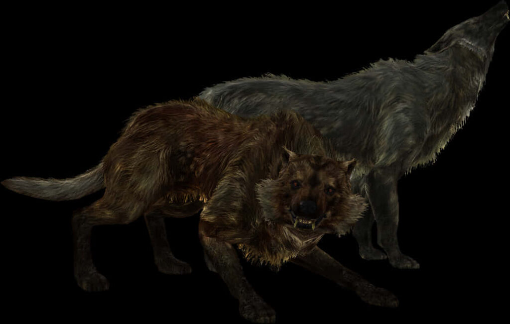 Realistic Wolves Wallpaper on Dark Background - Striking Atmosphere