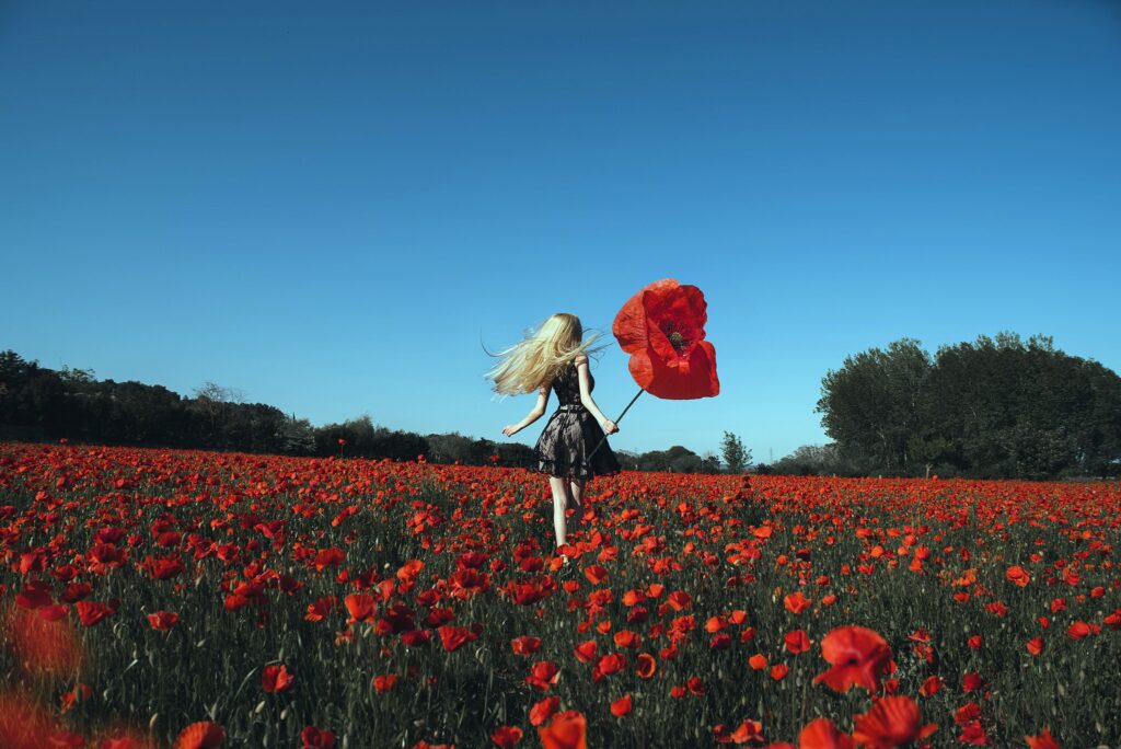 Dreamy Summer Poppy Fields: A Rear View of a Lady in Red dress in HD Wallpaper Manipulation