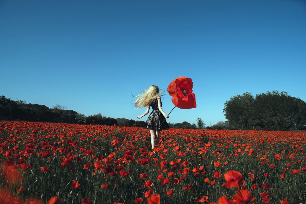 Blonde woman in black lace dress walking through vibrant red poppy field holding giant flower Wallpaper