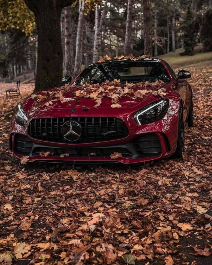 Red AMG GT-R sports car covered in autumn leaves beneath colorful fall trees scenic wallpaper