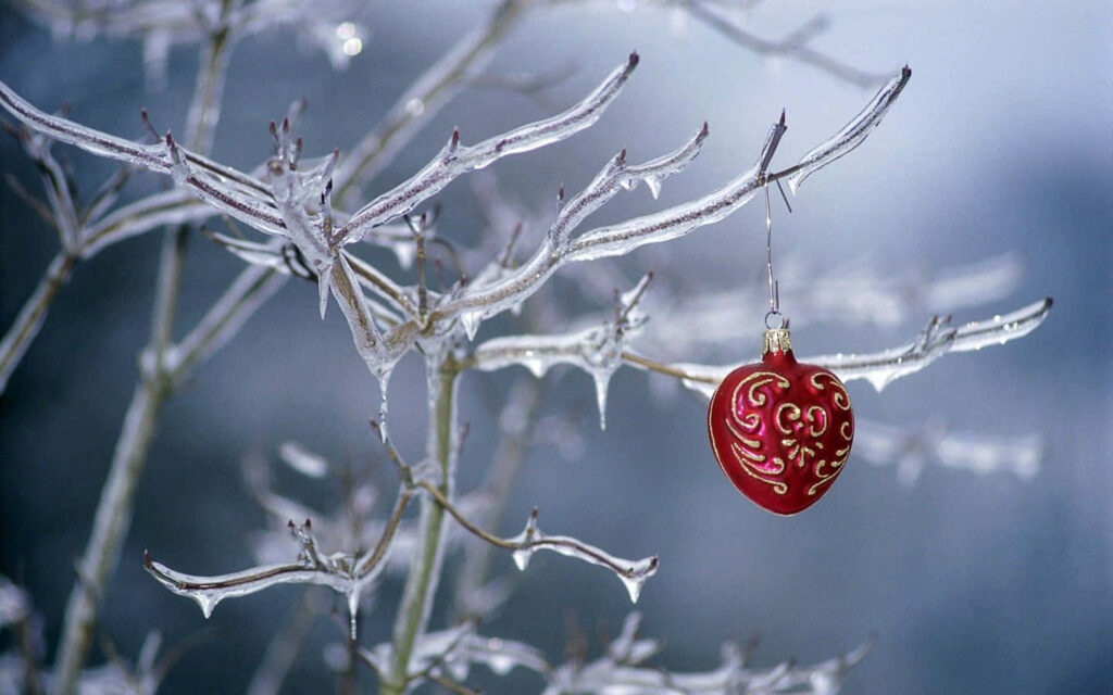 Red Heart Ornament on Ice-Covered Branch: Serene Winter Scene Wallpaper