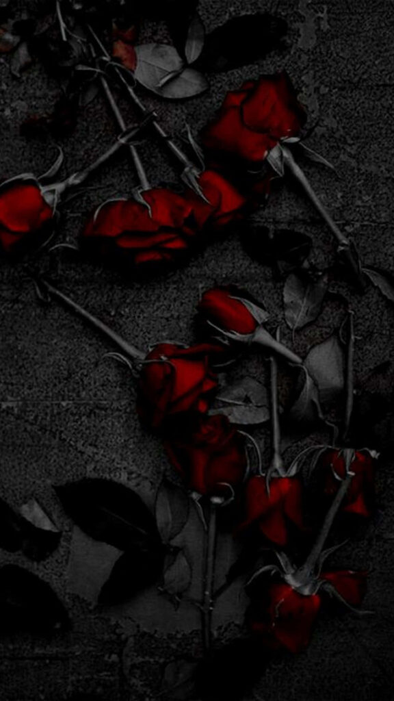 Vibrant Red Roses with Intriguing Black Stems on a Striking Background Wallpaper