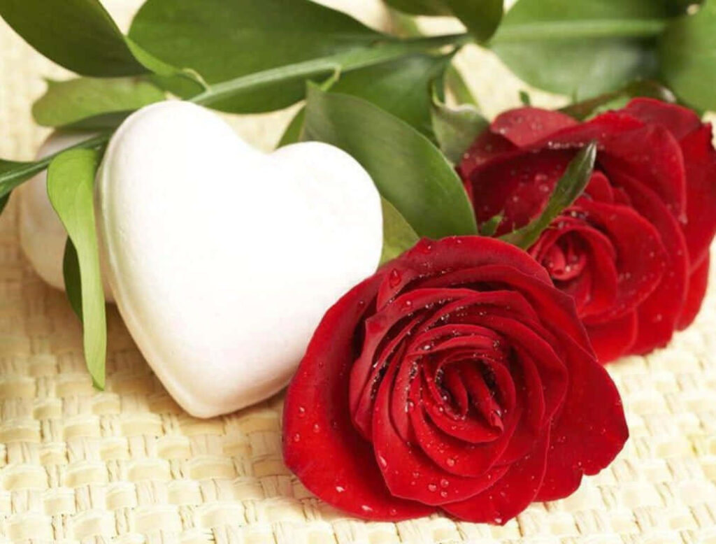 Red Rose with Dewdrops and Heart: Natural Green Wallpaper Backdrop