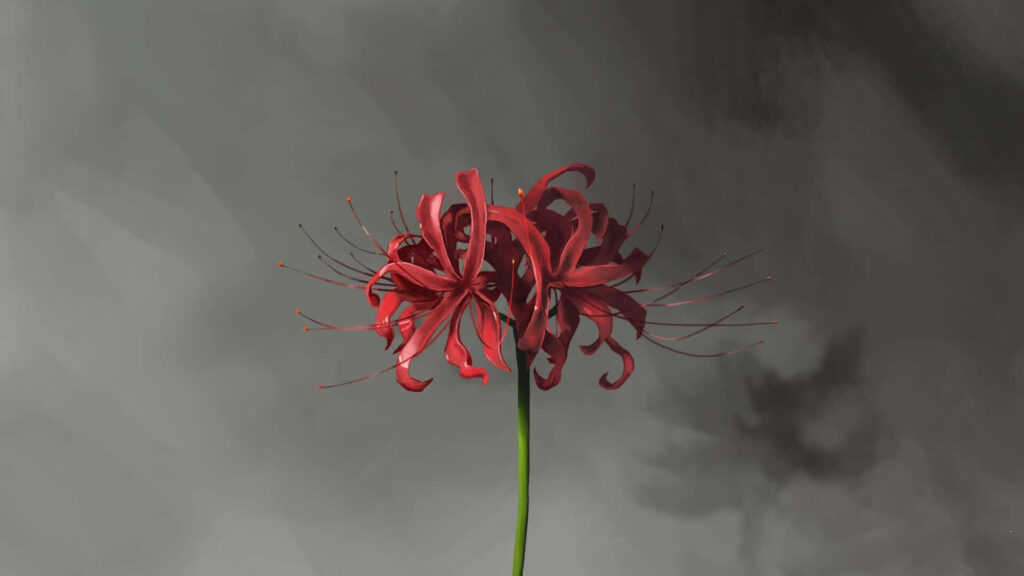 Red Spider Lily Wallpaper: Dramatic Floral Design on Muted Background