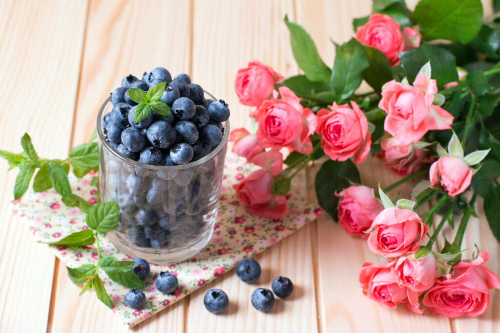 Glass filled with fresh blueberries on floral napkin beside vibrant pink roses wallpaper background
