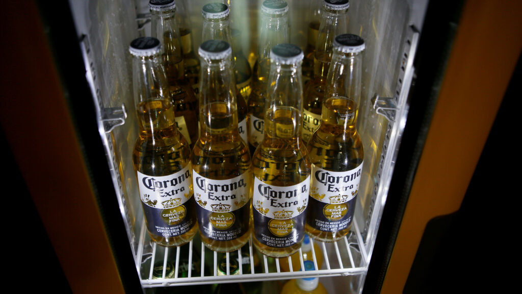 Chilled Corona Extra beer bottles glowing under white light on refrigerator shelf wallpaper background