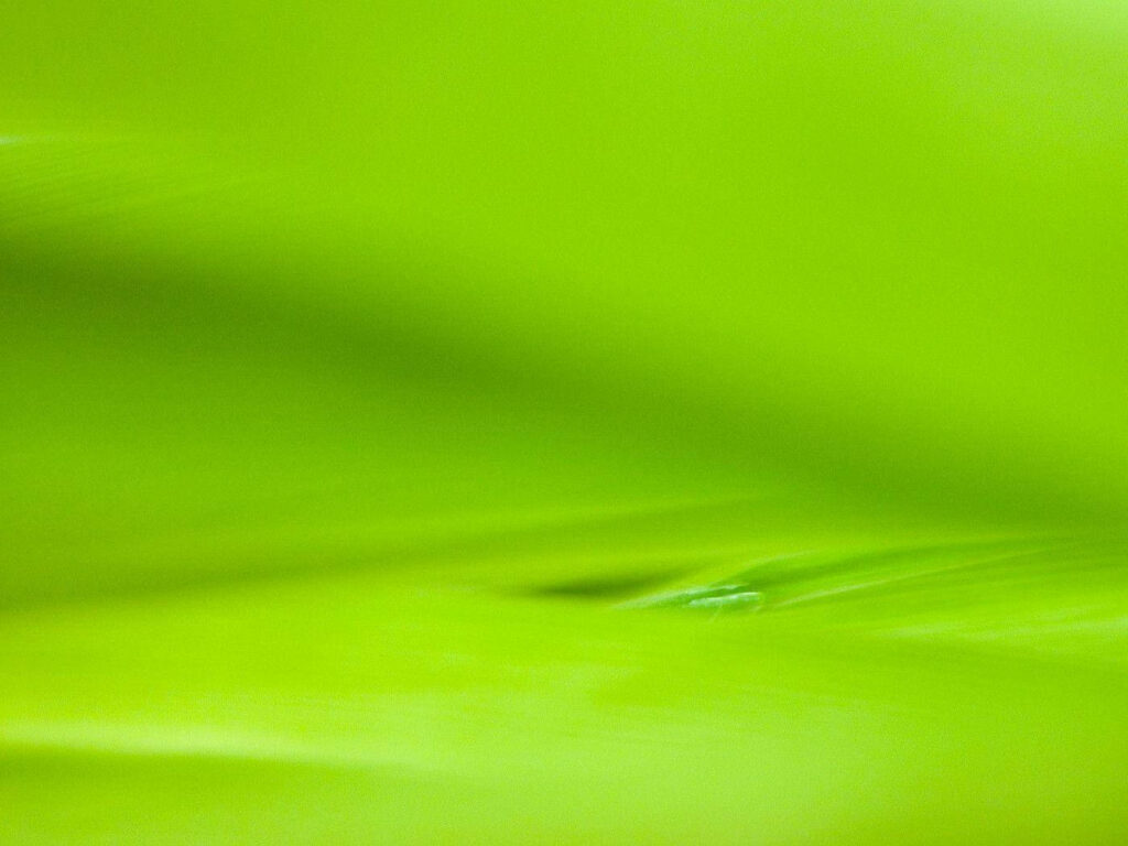 Refreshing Shade: A Captivating Light Green Surface Wallpaper