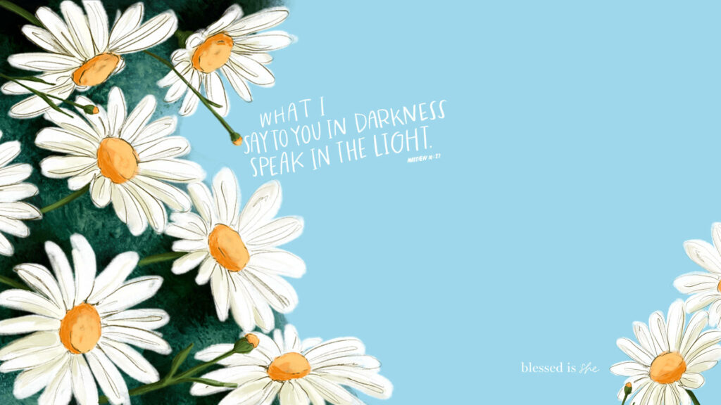 Refreshing Spring Wallpaper: White Daisies on Pastel Blue Background