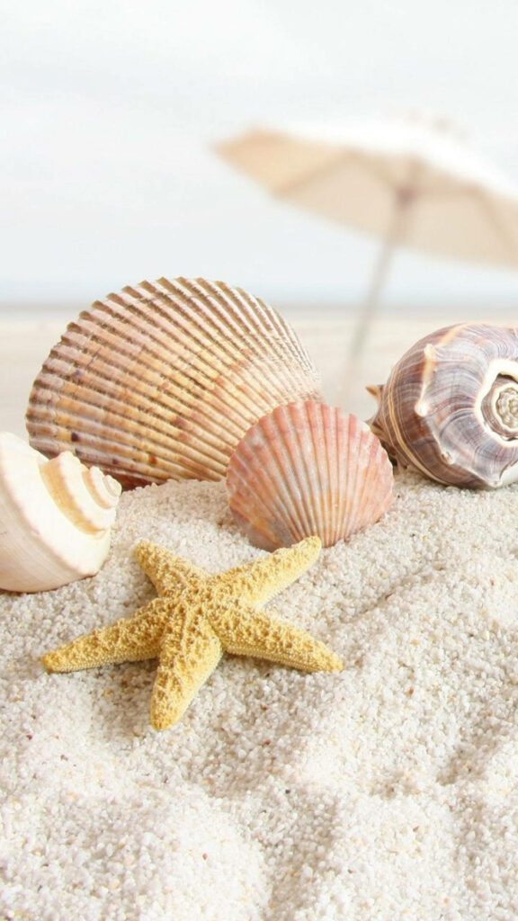 Serene Beach Scene Wallpaper: Sand, Seashells & Starfish Bliss