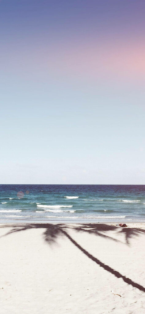 Tranquil Beach Scene with Palm Shadows and Gentle Waves Wallpaper