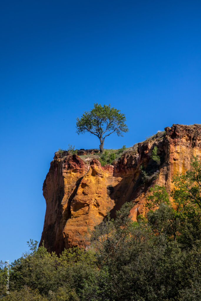 Solitary tree on rugged cliff with sunlit ochre red rocks and vivid blue sky wallpaper background