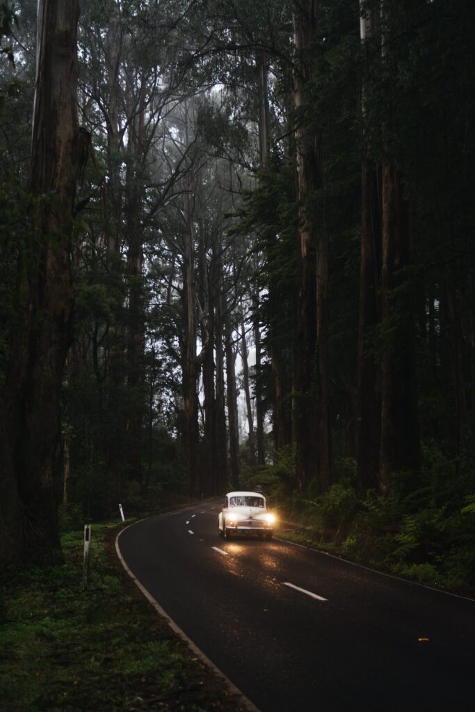 Retro Car on Winding Road: Nostalgic Forest Background Wallpaper