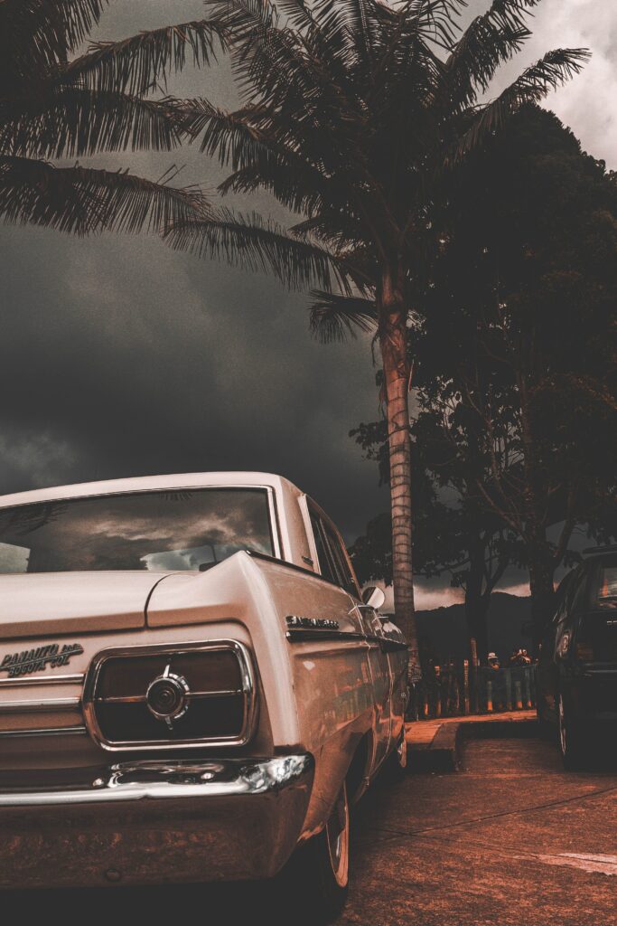 Vintage Car Under Palm Tree with Dramatic Sky - Classic Wallpaper