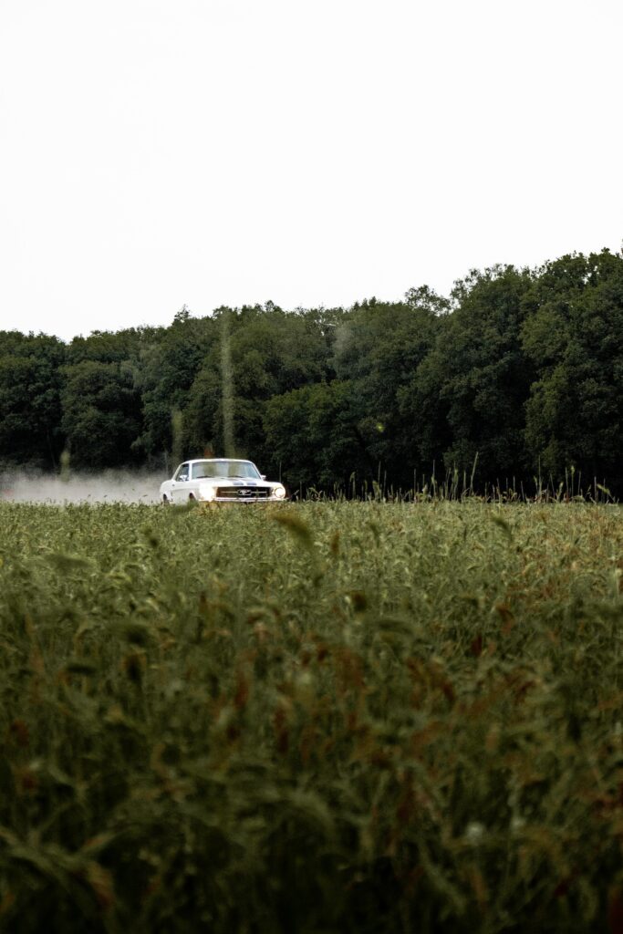 Classic Retro Mustang in Lush Fields - High-Resolution Wallpaper