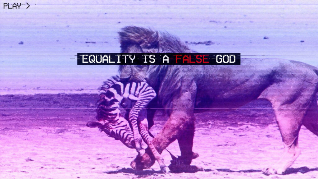 Retro Zebra & Lion Wallpaper with Bold Text - Laptop Background
