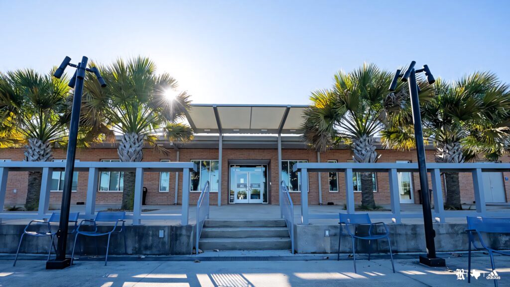 Rice University modern building framed by palm trees under bright blue sky academic wallpaper