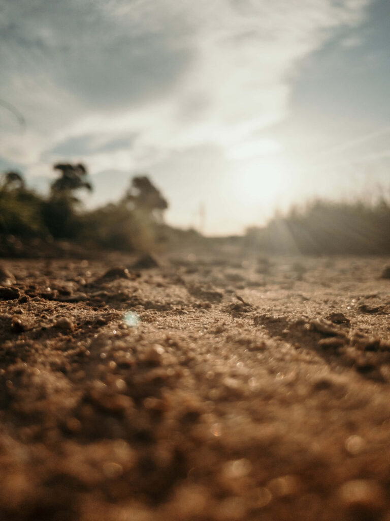 Close-up of rich brown soil under warm sunlight with blurred green plants and blue sky background Wallpaper