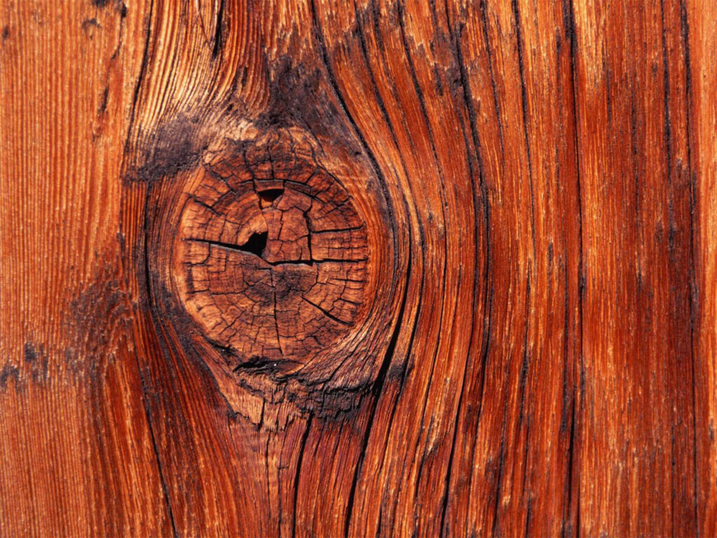Rustic Dark Knot Wood Wallpaper: Detailed Grains & Earthy Texture