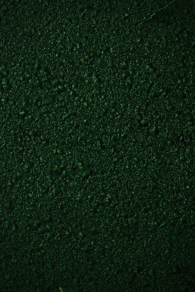 Earthy Green Textured Wallpaper: Bumpy Mossy Surface Background