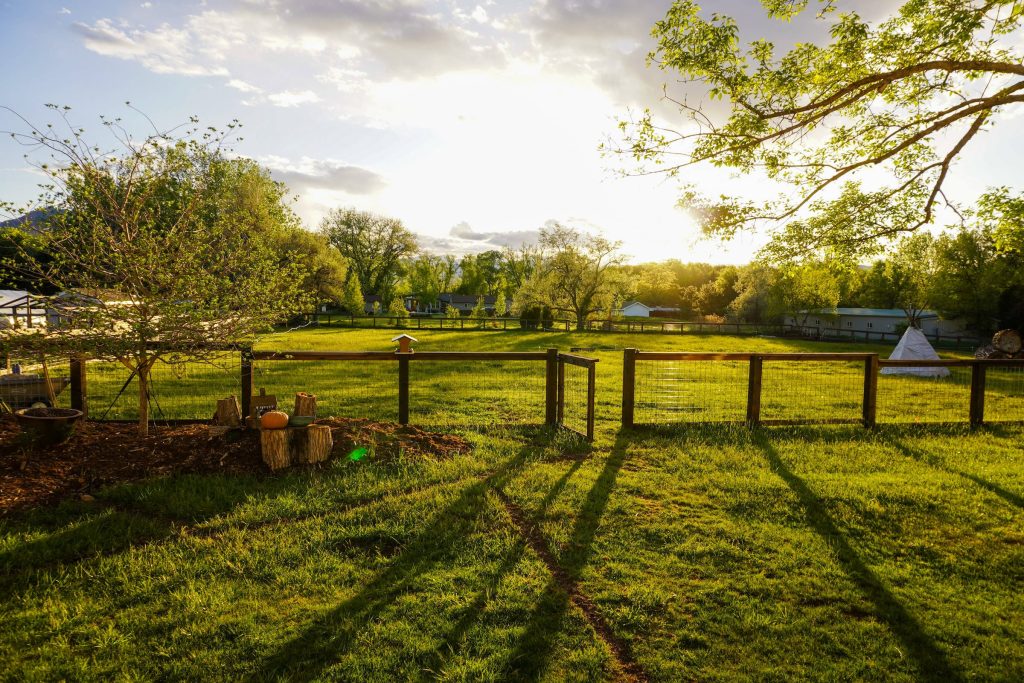 Golden hour light on lush Ridge Otago farm grass with rustic pumpkin and white teepee view Wallpaper