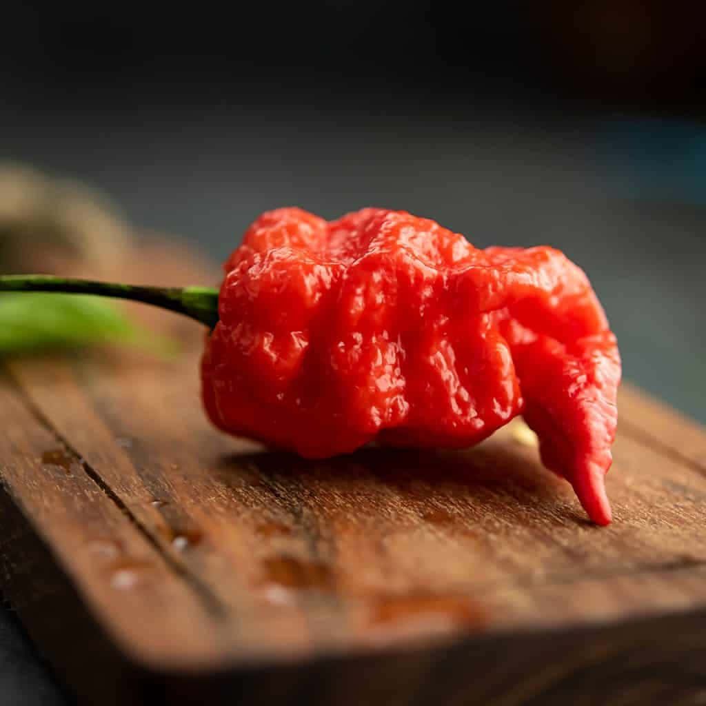 Macro shot of ripe bright red Ghost Pepper on textured wooden board in natural light wallpaper
