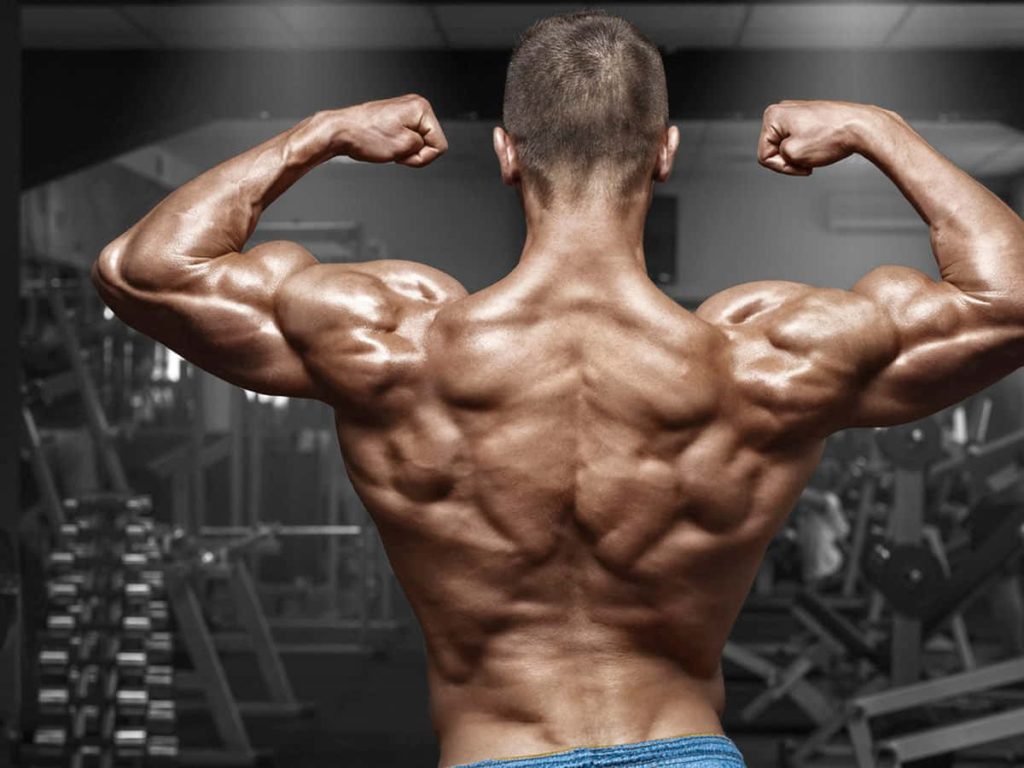 Bodybuilder flexing ripped back and arms in gym with dramatic lighting high definition wallpaper