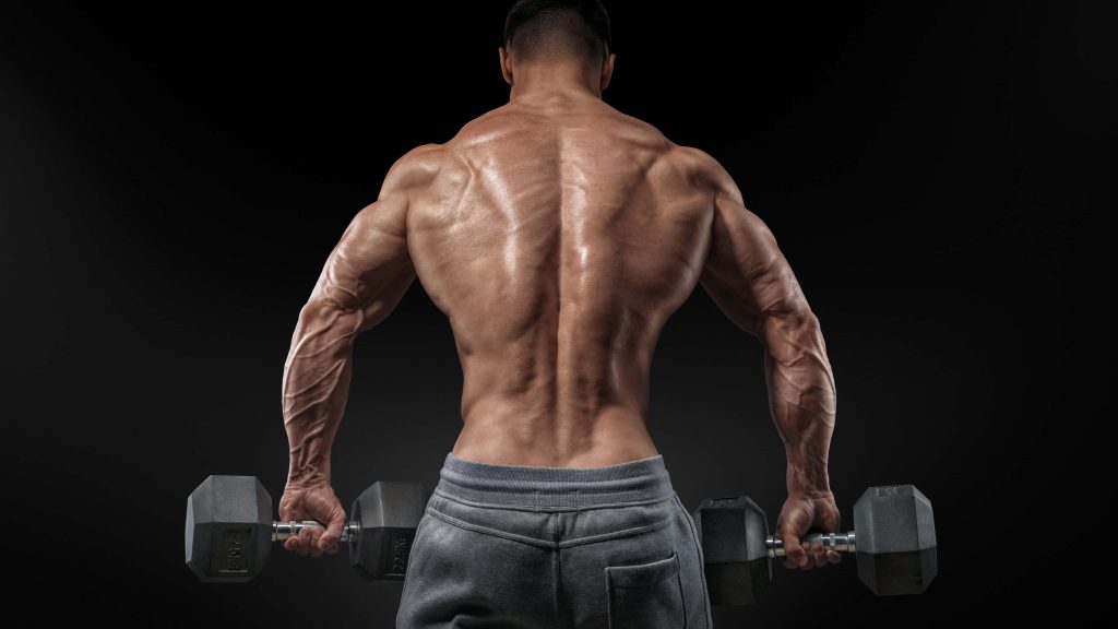 Muscular bodybuilder lifting heavy dumbbells with defined back muscles on black background fitness wallpaper