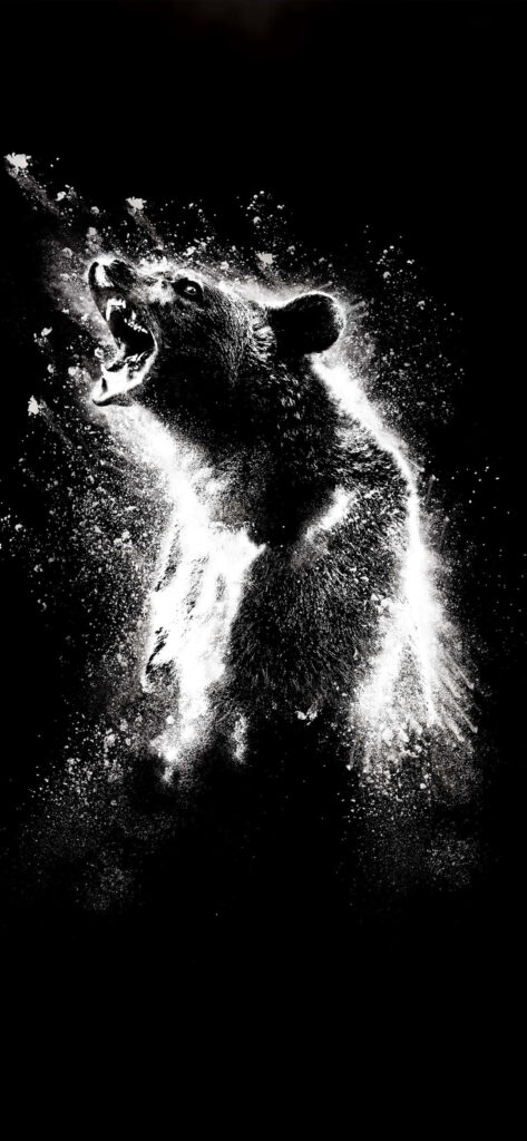 Dynamic Roaring Bear Wallpaper: Water Splash Art on Black Background
