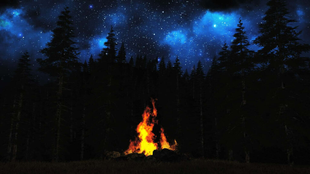 Blazing Beauty: A Mesmerizing Nighttime Campfire Illuminating the Background Wallpaper
