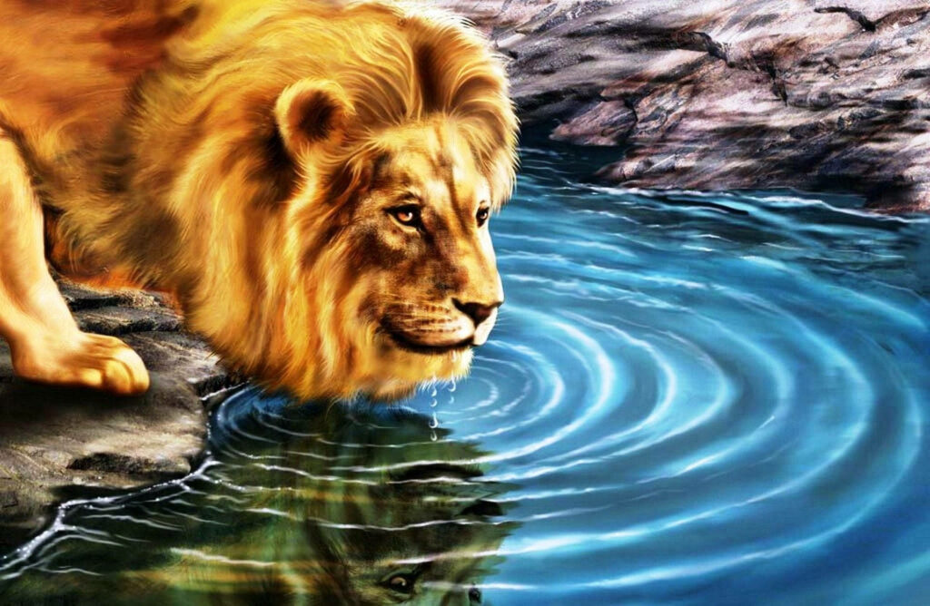 Roaring Reflection: Immersive 3D Wallpaper of Majestic Lion Quenching Thirst