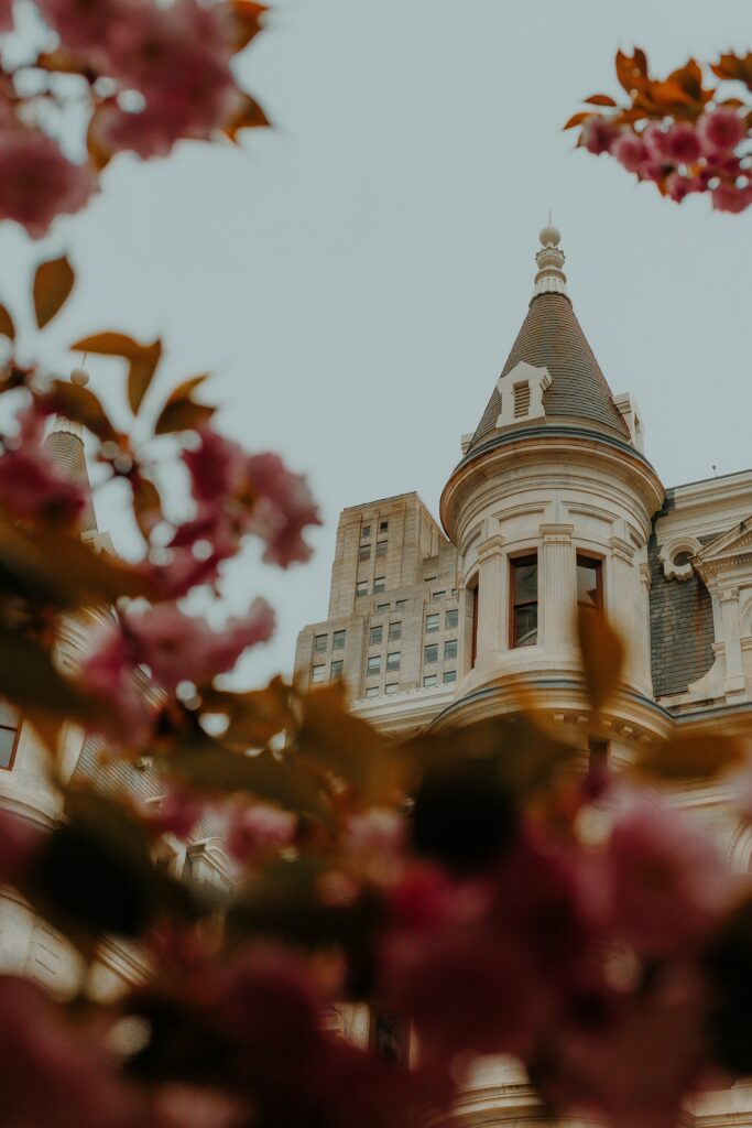 Stunning Castle Wallpaper: Romantic Architecture with Blooming Branches