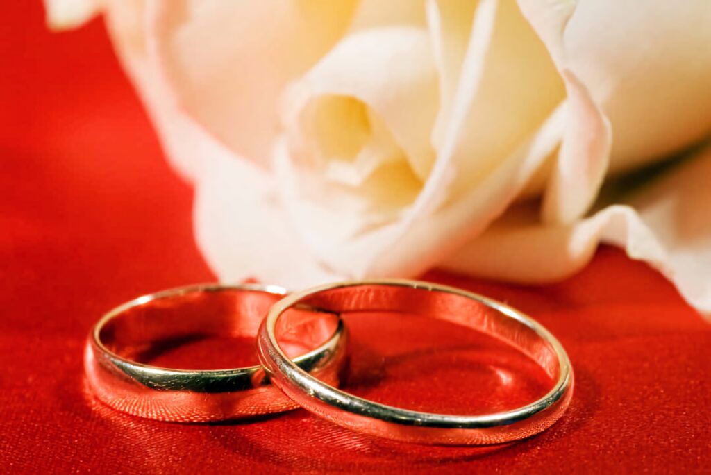 Two gold band engagement rings on red fabric with white rose symbolizing love and commitment Wallpaper