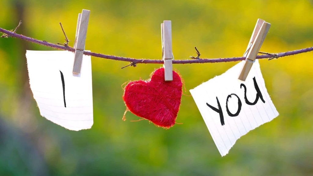 Romantic I Love You notes with red heart clipped on twig against soft green background wallpaper